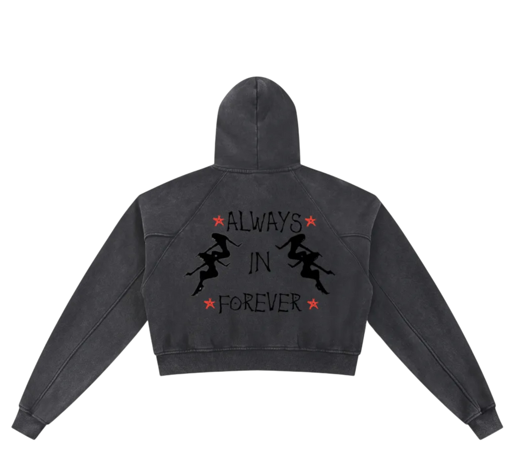 Dj Snow Washed Krono Cropped Hoodie