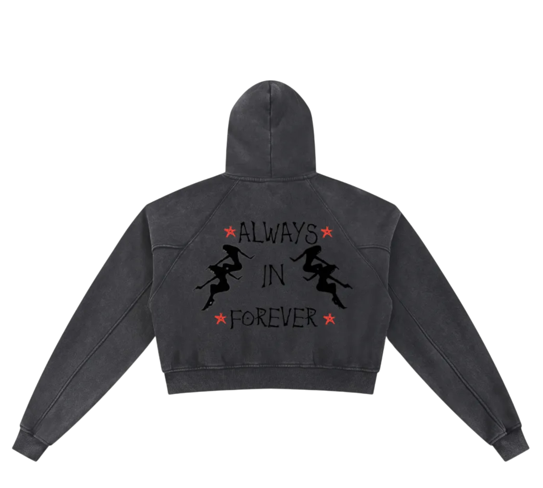 Dj Snow Washed Krono Cropped Hoodie