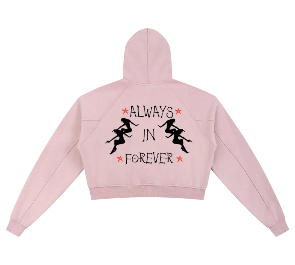 Dj Snow Washed Krono Cropped Hoodie