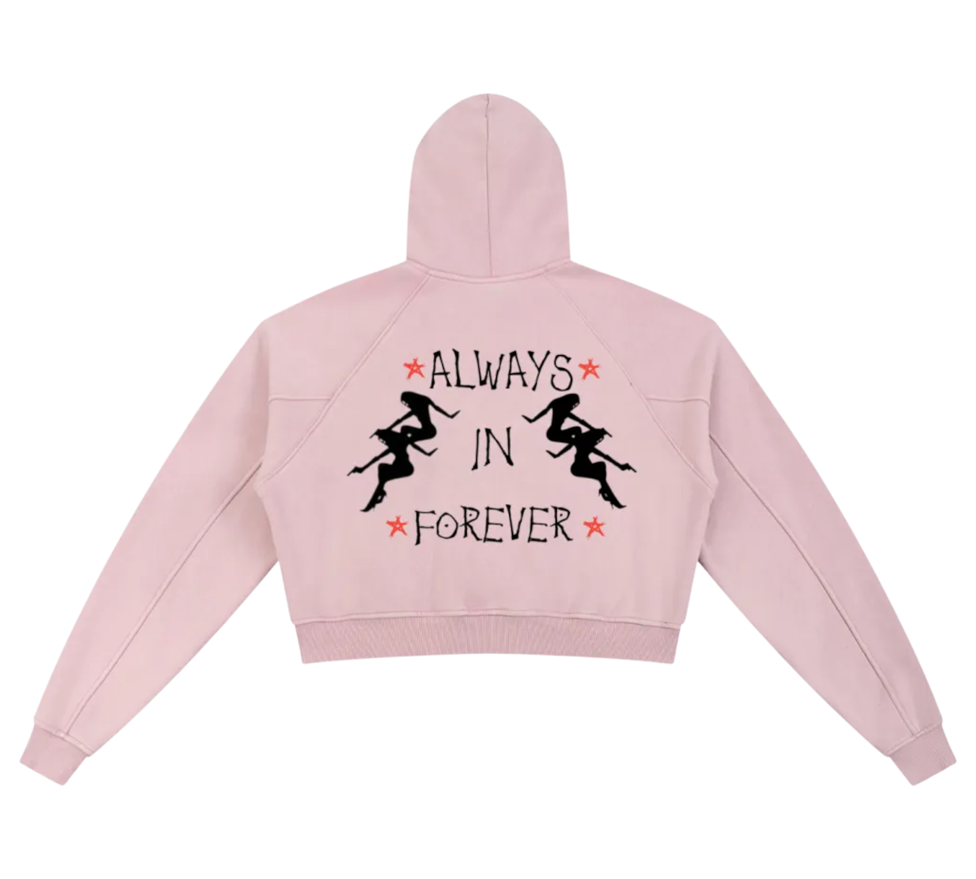 Dj Snow Washed Krono Cropped Hoodie