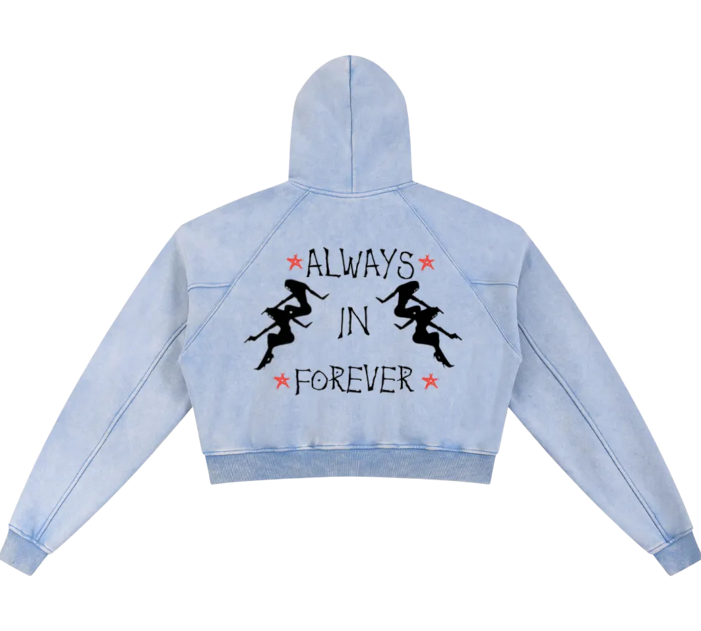 Dj Snow Washed Krono Cropped Hoodie