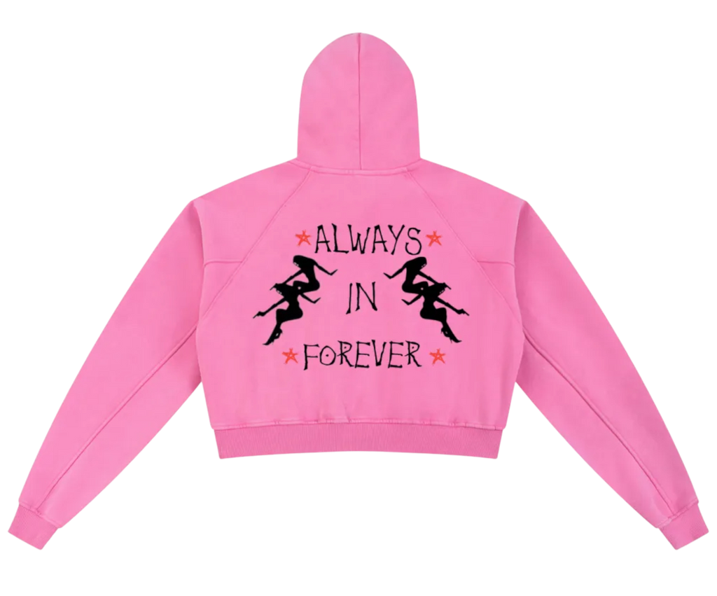 Dj Snow Washed Krono Cropped Hoodie