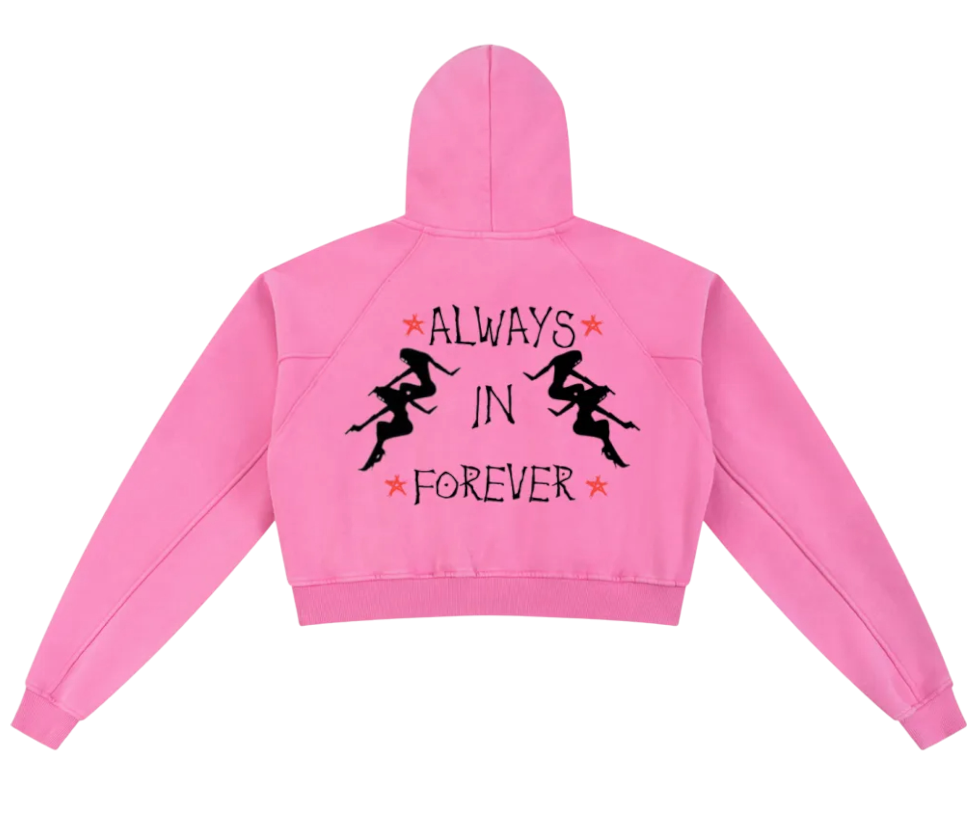 Dj Snow Washed Krono Cropped Hoodie